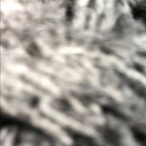 Meet your Posher, Sebastian